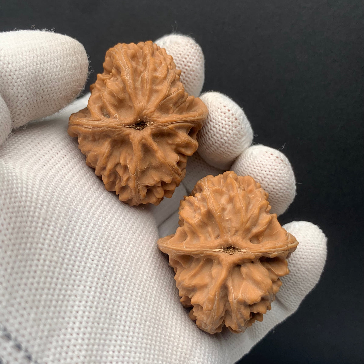 Sanyanggu Thick Rib Walnuts | Width34*Belly41*Height36 | No. 67301 | Premium