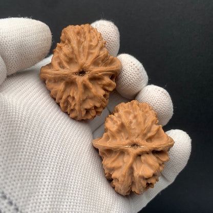 Sanyanggu Thick Rib Walnuts | Width34*Belly41*Height36 | No. 67301 | Premium