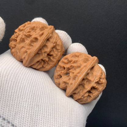 Sanyanggu Thick Rib Walnuts | Width34*Belly41*Height36 | No. 67301 | Premium