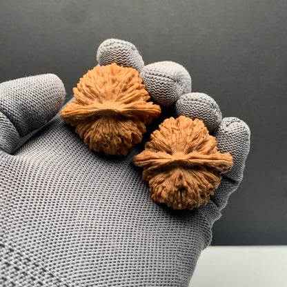 Four story tower Wenwan Walnuts | Width39*Belly36*Height34 | NO.0260628‑05 | Premium