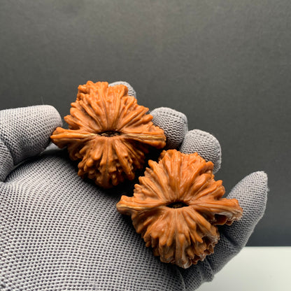 Four story tower Walnuts | Width47*Belly44*Height42 | NO.69079 | Premium