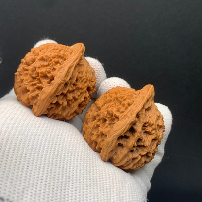 Starry Sky Walnuts | Width39*Belly37*Height40 | No. 0260627-04 | Premium