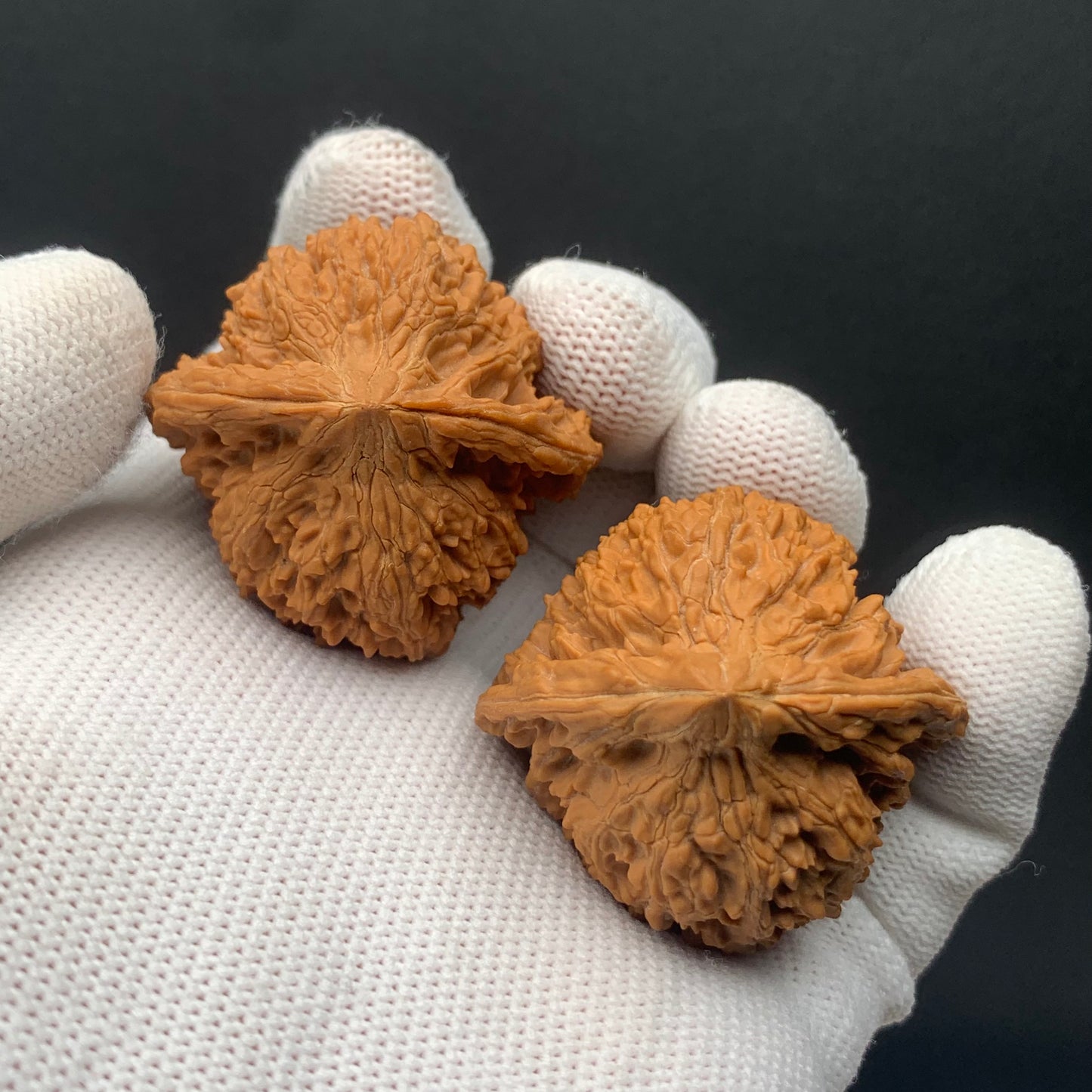 Starry Sky Walnuts | Width39*Belly37*Height40 | No. 0260627-04 | Premium
