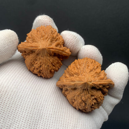 Starry Sky Walnuts | Width39*Belly37*Height40 | No. 0260627-04 | Premium