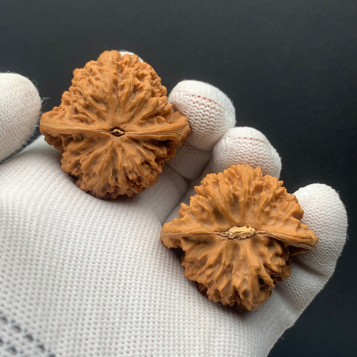 Starry Sky Walnuts | Width38*Belly36*Height38 | No. 0260627-07 | Premium
