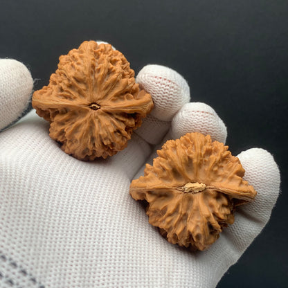 Starry Sky Walnuts | Width38*Belly36*Height38 | No. 0260627-07 | Premium