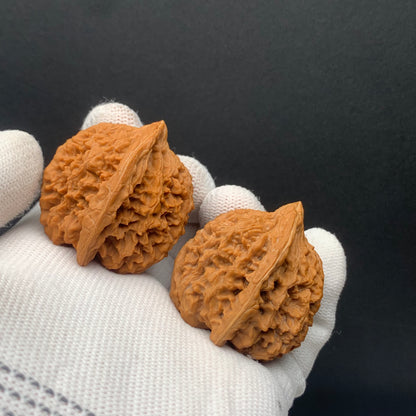 Starry Sky Walnuts | Width39*Belly37*Height40 | No. 0260627-04 | Premium