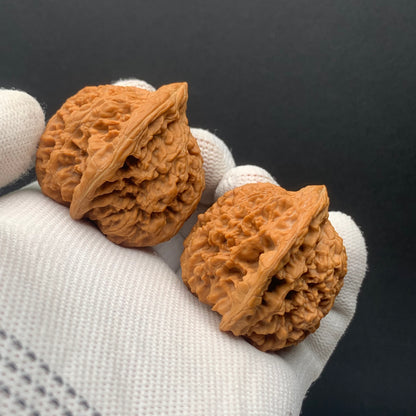 Starry Sky Walnuts | Width38*Belly36*Height38 | No. 0260627-07 | Premium