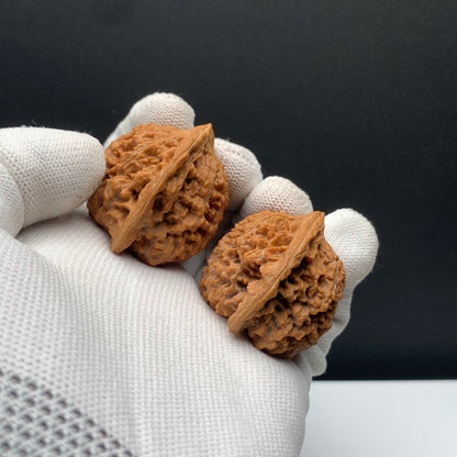 Stars Everywhere Walnuts | Width38*Belly35*Height38 | No. 68011 | Premium