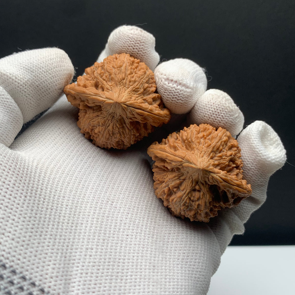 Stars Everywhere Walnuts | Width38*Belly35*Height38 | No. 68011 | Premium