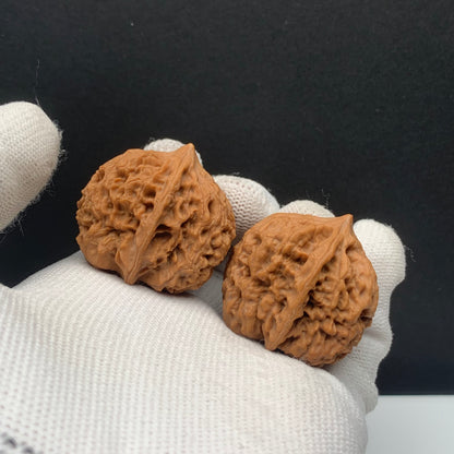 Taihang Dragon Grain Walnuts | Width30*Belly35*Height34 | No. 608131 | Premium