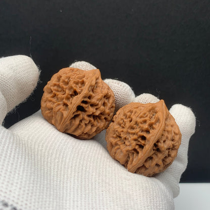 Taihang Dragon Grain Walnuts | Width30*Belly35*Height34 | No. 608131 | Premium
