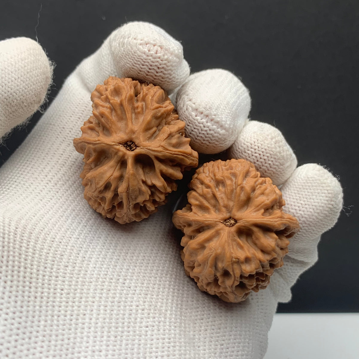 Taihang Dragon Grain Walnuts | Width30*Belly35*Height34 | No. 608131 | Premium