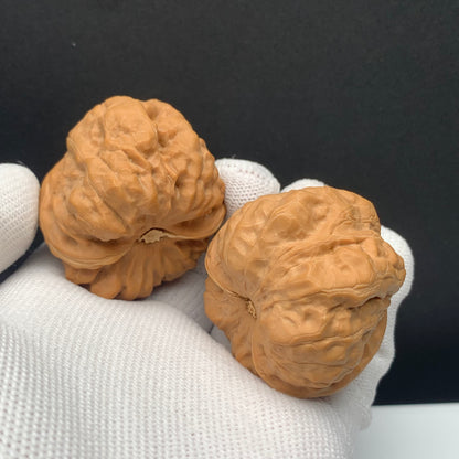 Toad Head Walnuts | Width41*Belly43*Height34 | No. 67928 | Premium