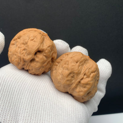 Toad Head Walnuts | Width41*Belly43*Height34 | No. 67928 | Premium
