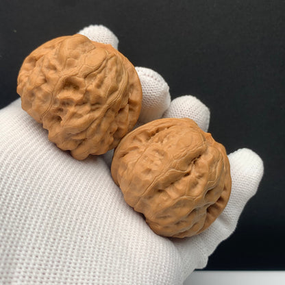 Toad Head Walnuts | Width41*Belly43*Height34 | No. 67928 | Premium
