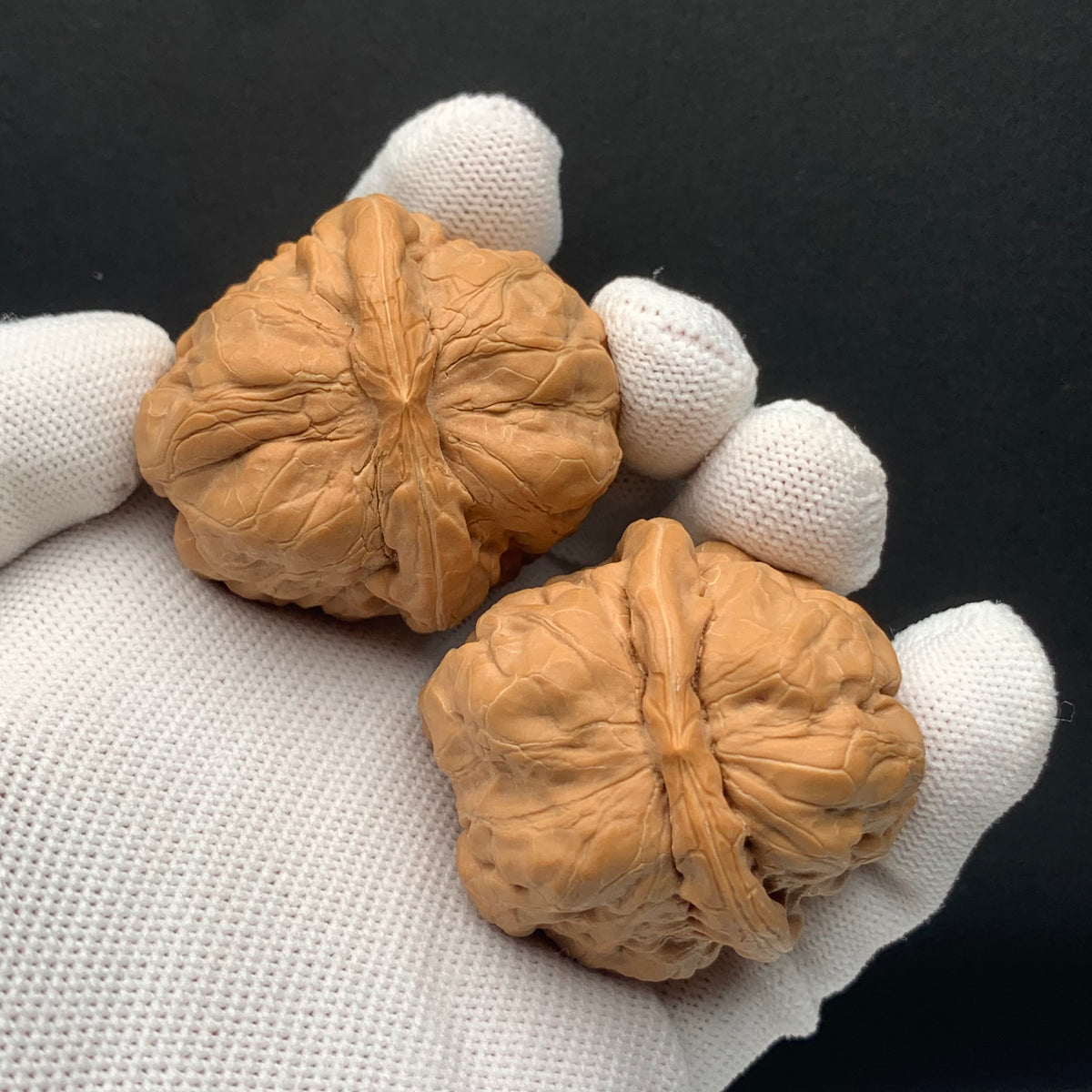 Toad Head Walnuts | Width41*Belly43*Height34 | No. 67928 | Premium