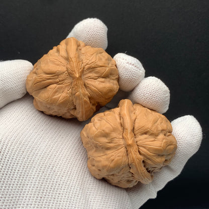 Toad Head Walnuts | Width41*Belly43*Height34 | No. 67928 | Premium