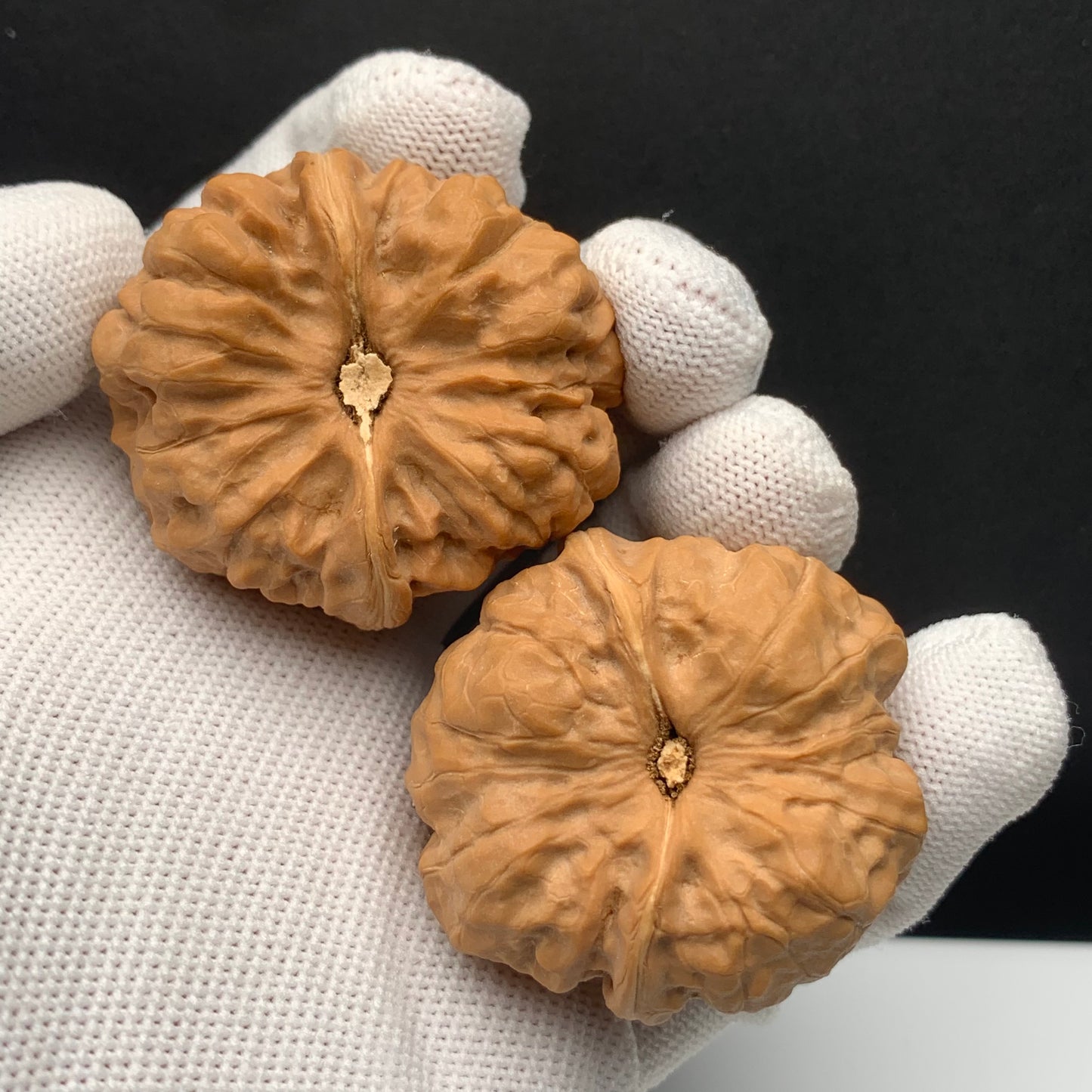 Toad Head Walnuts | Width41*Belly43*Height34 | No. 67928 | Premium