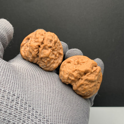 Toad Head Wenwan Walnuts | Width40*Belly40*Height33 | NO.6101031 | Premium