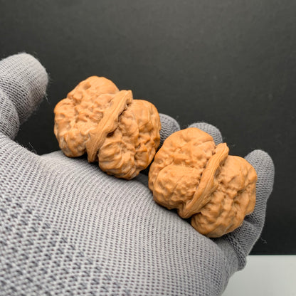 Toad Head Wenwan Walnuts | Width40*Belly40*Height33 | NO.6101031 | Premium