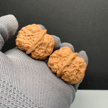 Toad Head Wenwan Walnuts | Width36*Belly40*Height33 | NO.6101032 | Premium