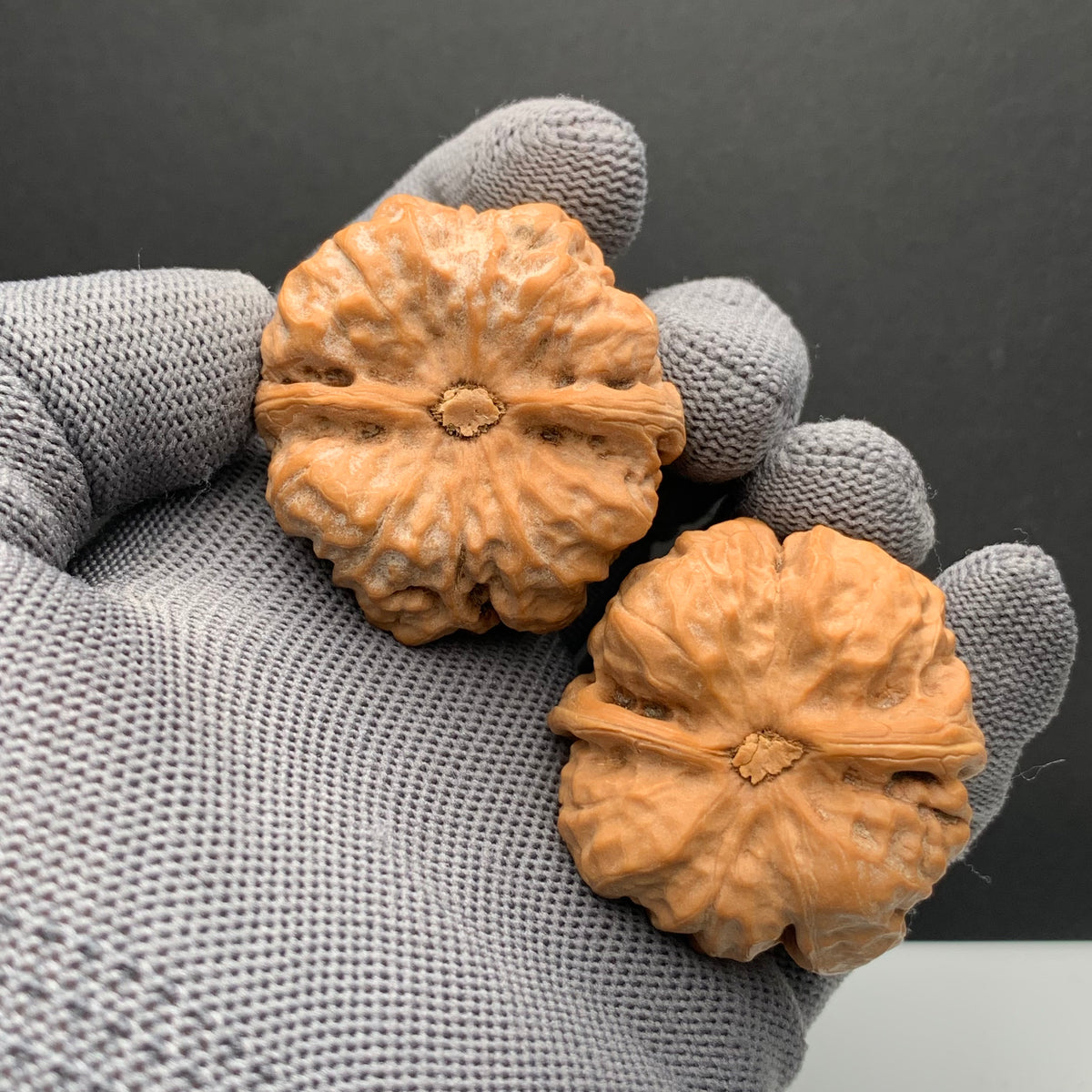 Toad Head Wenwan Walnuts | Width40*Belly40*Height33 | NO.6101031 | Premium
