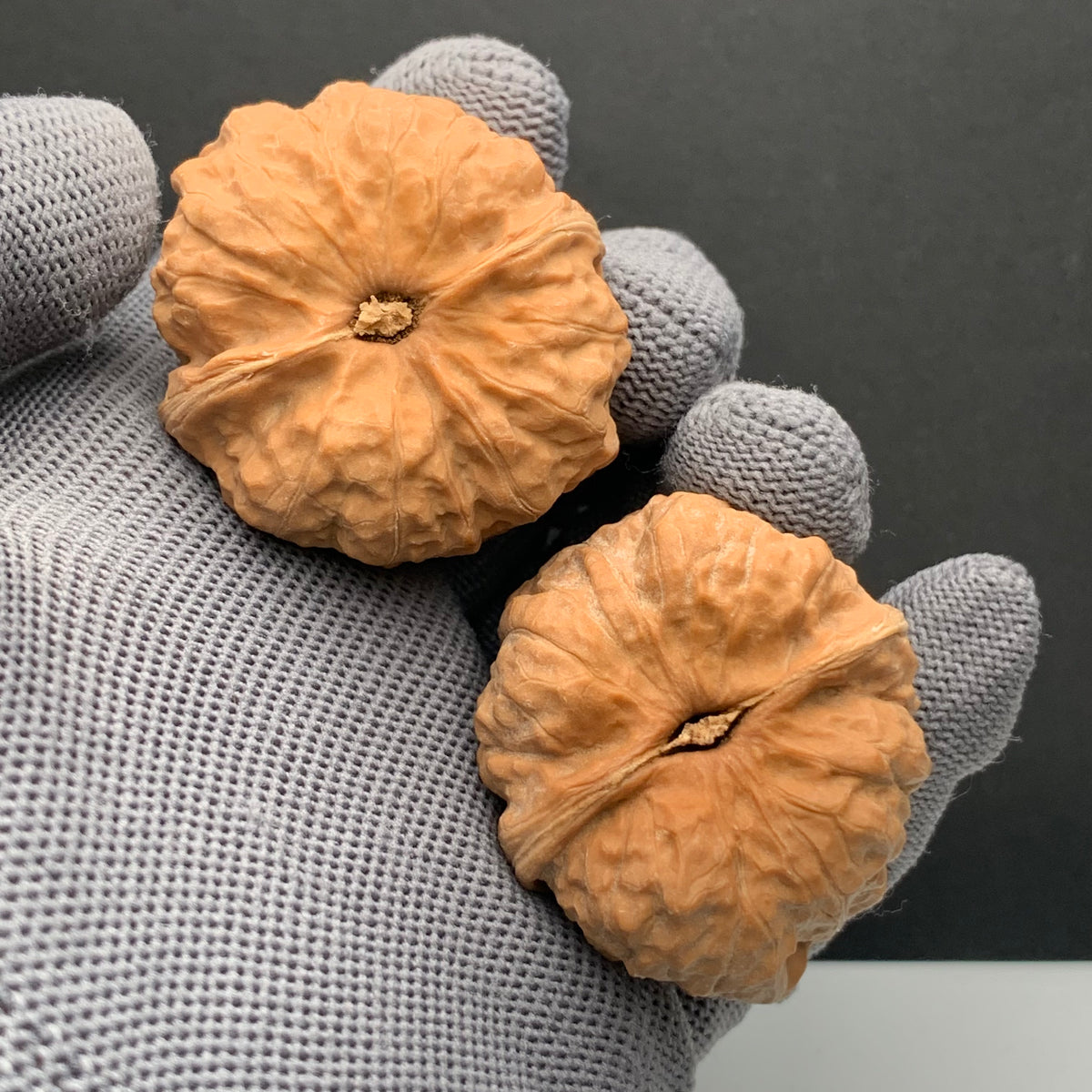 Toad Head Wenwan Walnuts | Width39 * Belly42 * Height33 | NO.6101033 | Premium