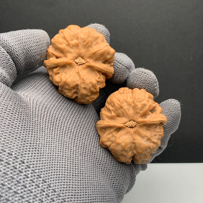 Golden Toad Head Wenwan Walnuts | Width38*Belly42*Height32 | NO.6101034 | Premium