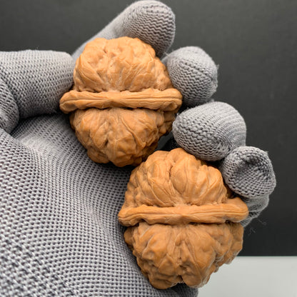 Toad Head Wenwan Walnuts | Width40*Belly40*Height33 | NO.6101031 | Premium