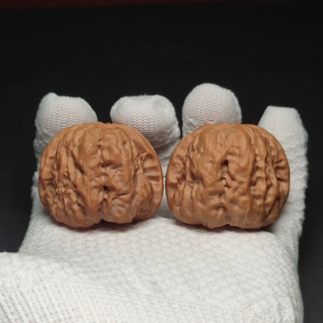 Specical Price | Toad Head Wenwan Walnuts （Ragular Grade）