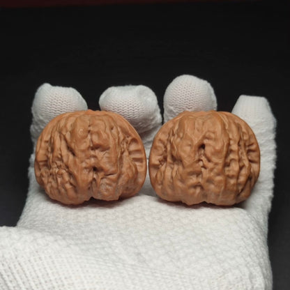 Specical Price | Toad Head Wenwan Walnuts （Ragular Grade）