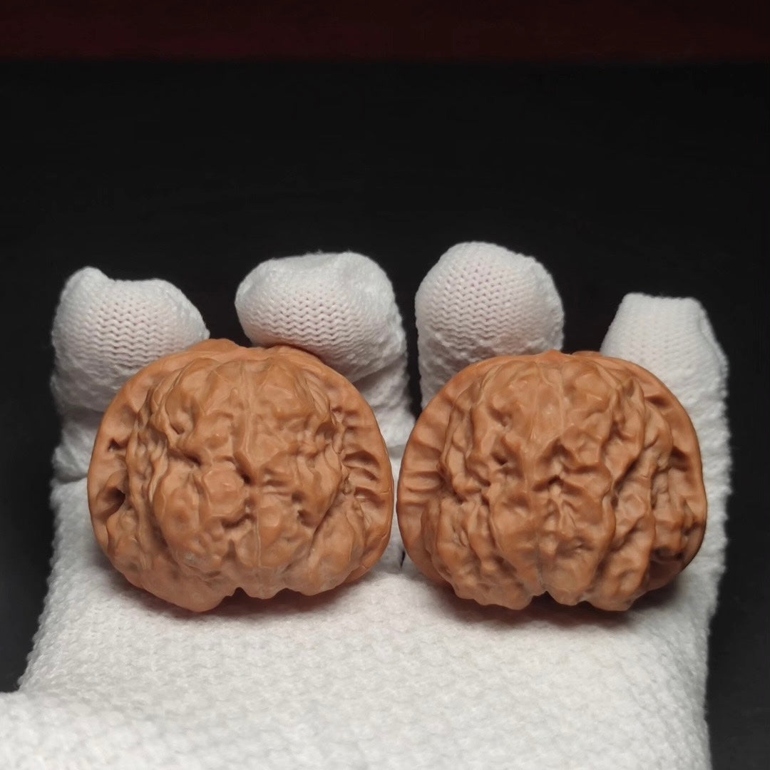 Specical Price | Toad Head Wenwan Walnuts （Ragular Grade）