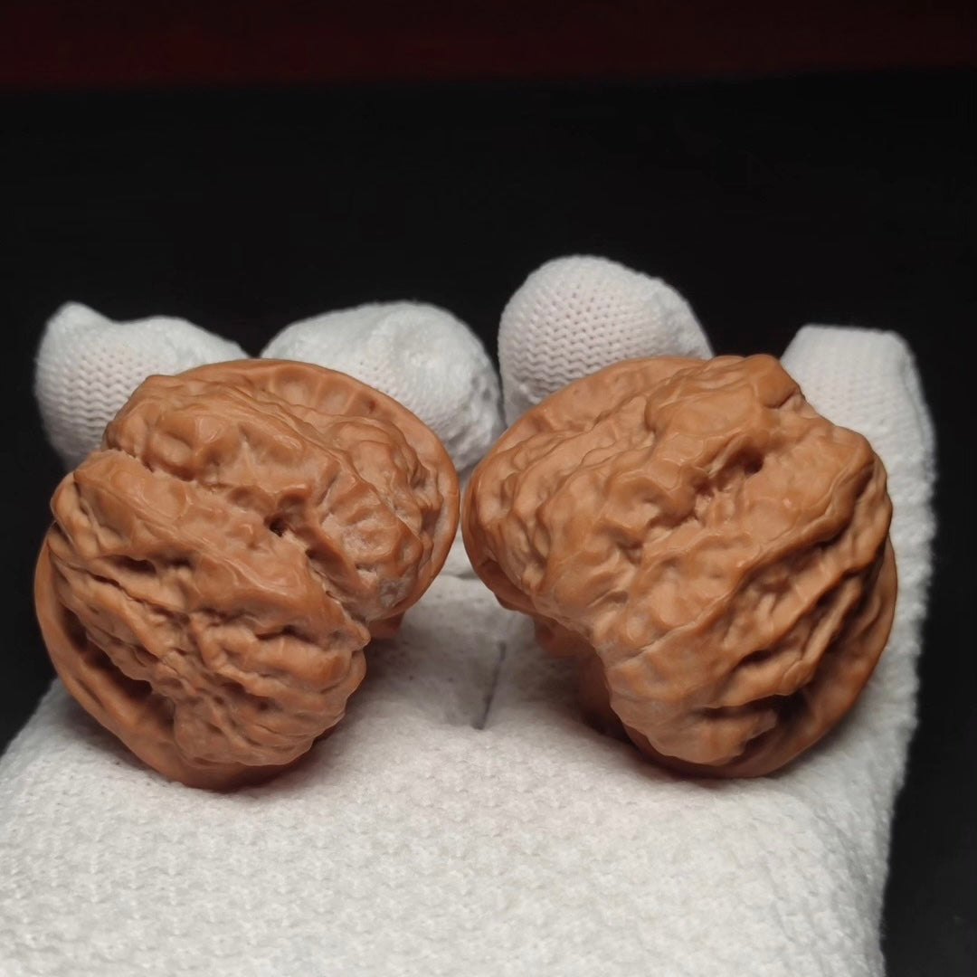 Specical Price | Toad Head Wenwan Walnuts （Ragular Grade）