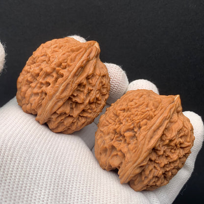 Treasure Bottle Walnuts | Width36*Belly40*Height42 | No. 0260627-05 | Premium
