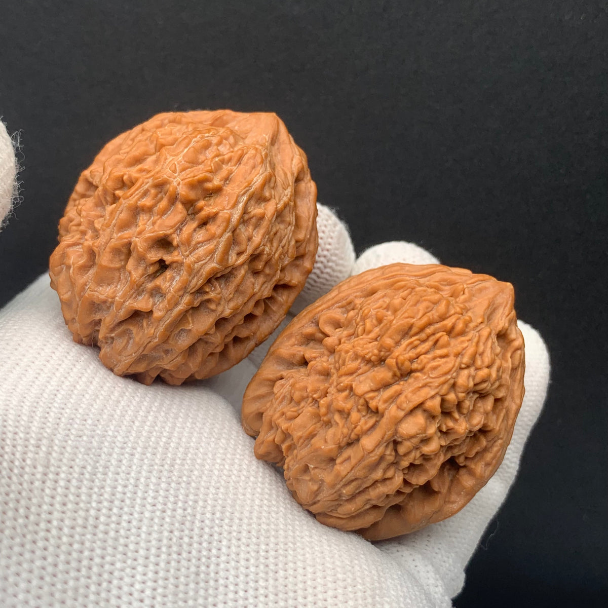 Treasure Bottle Walnuts | Width36*Belly40*Height42 | No. 0260627-05 | Premium