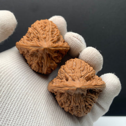 Triangle Nanjiang Walnuts | Width40*Belly40*Height43 | NO.608183 | Premium