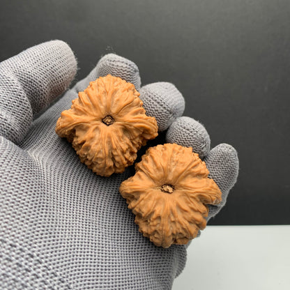Triangle Nanjiangshi Wenwan Walnuts | Width37*Belly37*Height39 | NO.6101021 | Premium
