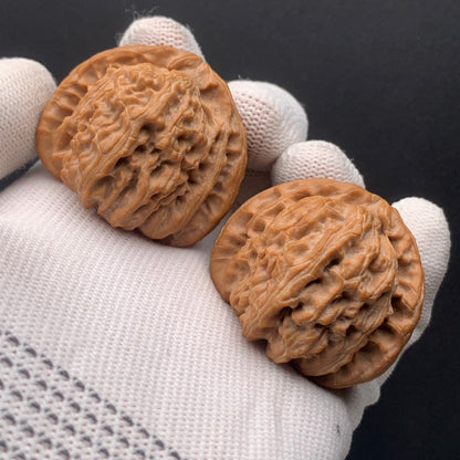 Triangular White Lion Walnuts | Width40*Belly40*Height35 | No. 67273 | Premium