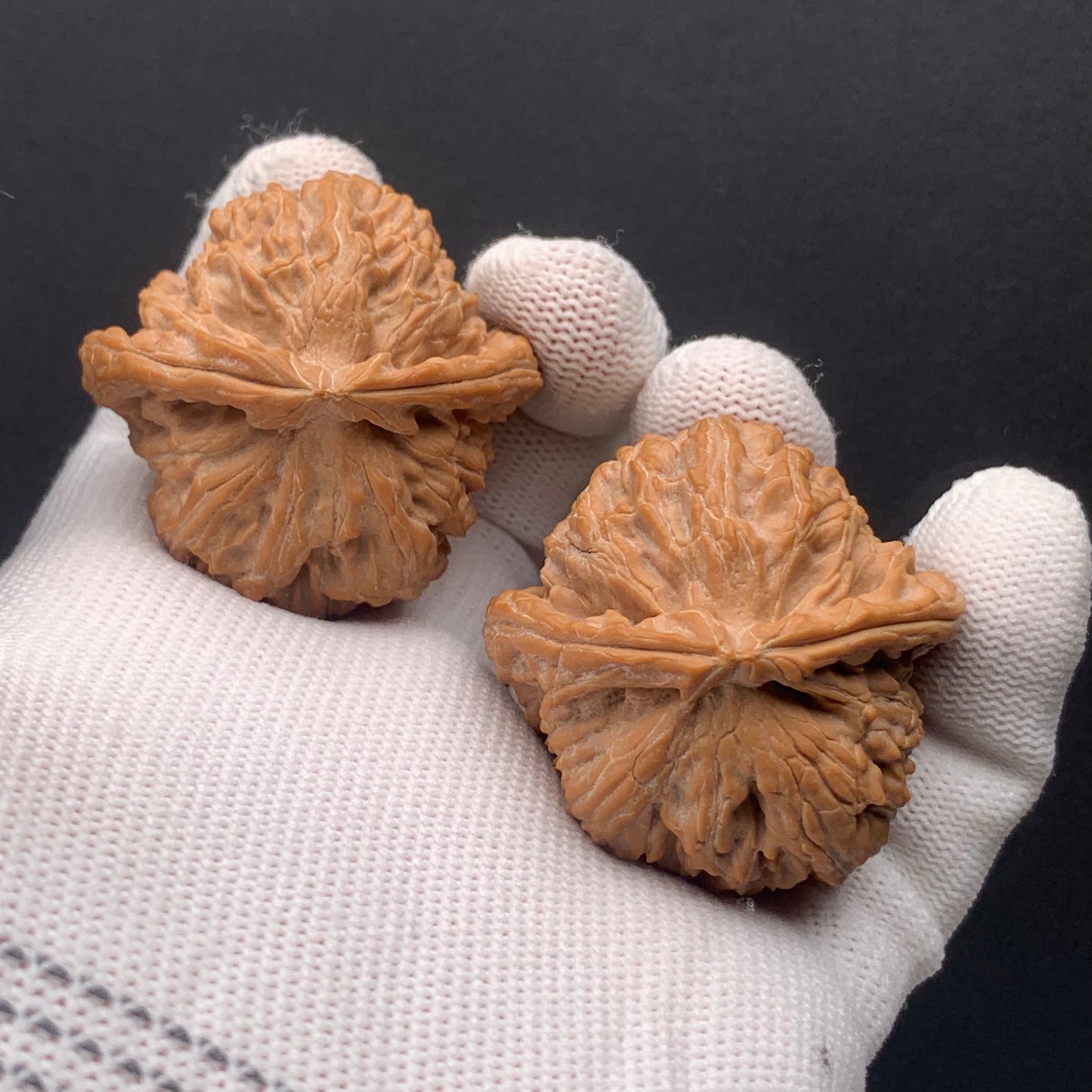 Triangular White Lion Walnuts | Width40*Belly40*Height35 | No. 67273 | Premium