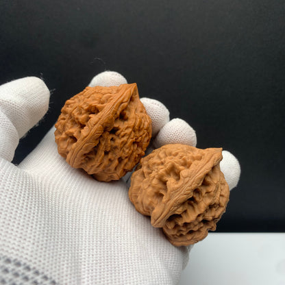 Wang Mansion Hat Walnuts | Width49*Belly42*Height43 | No. 671301 | Premium