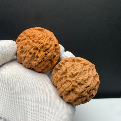 Wang Mansion Hat Walnuts | Width49*Belly42*Height43 | No. 671301 | Premium