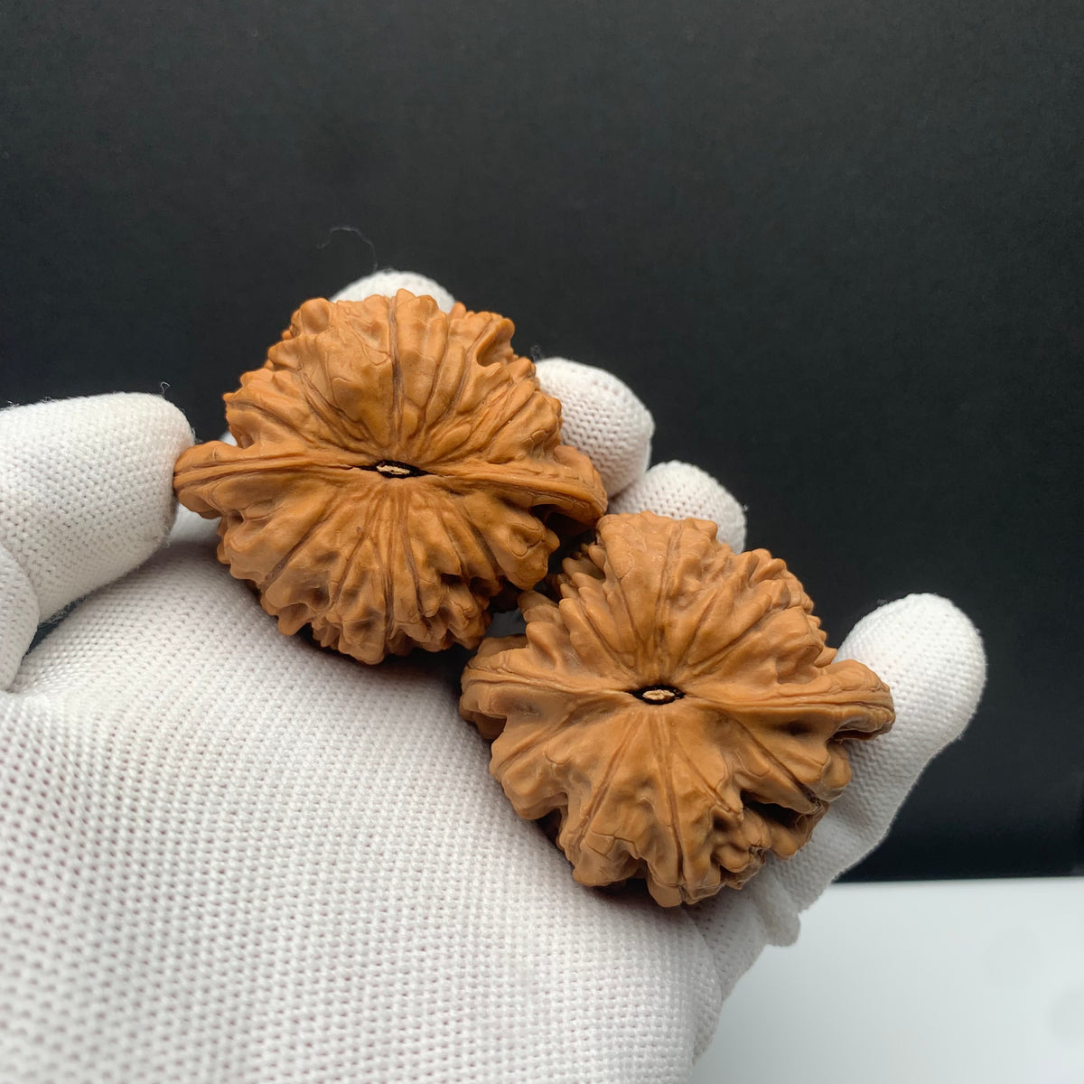Wang Mansion Hat Walnuts | Width49*Belly42*Height43 | No. 671301 | Premium