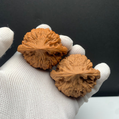 Wang Mansion Hat Walnuts | Width49*Belly42*Height43 | No. 671301 | Premium