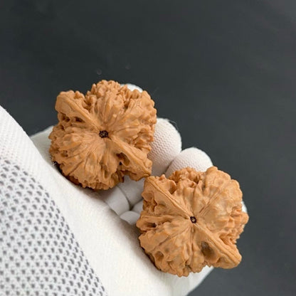 On Sale | Wang Yong Scholar Caps  Wenwan walnuts（Regular Grade）