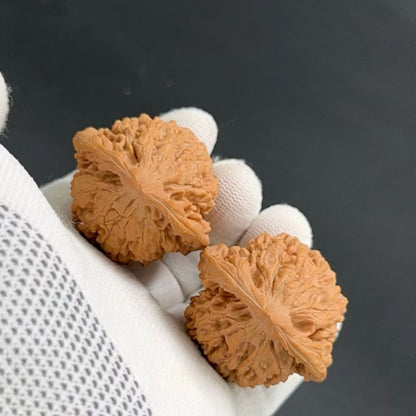 On Sale | Wang Yong Scholar Caps  Wenwan walnuts（Regular Grade）