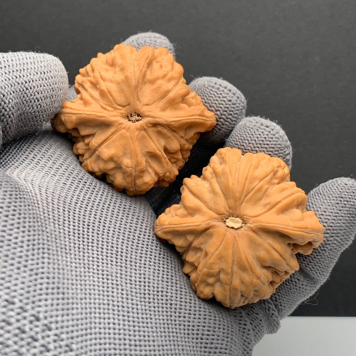 Wangyue Wenwan Walnuts | Width44*Belly40*Height37 | NO.6101102 | Premium