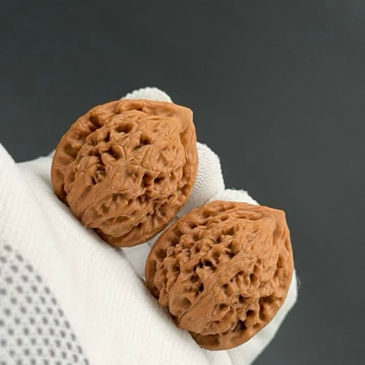 Specical Price | Water Dragon Pattern Wenwan walnuts（Ragular Grade）
