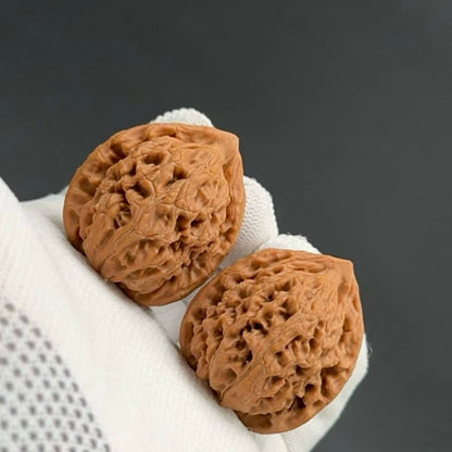 Specical Price | Water Dragon Pattern Wenwan walnuts（Ragular Grade）