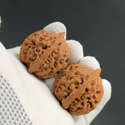 Specical Price | Water Dragon Pattern Wenwan walnuts（Ragular Grade）